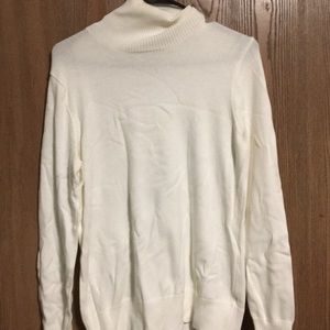 Turtle Neck Merona sweater from jcpenny